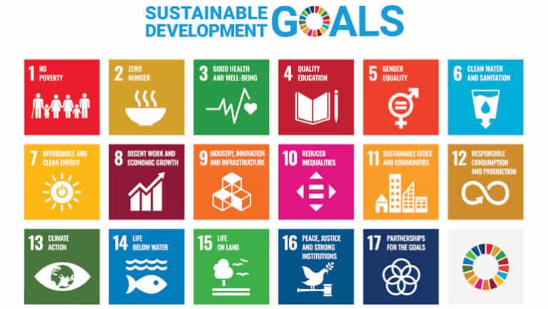 sustainable development goals